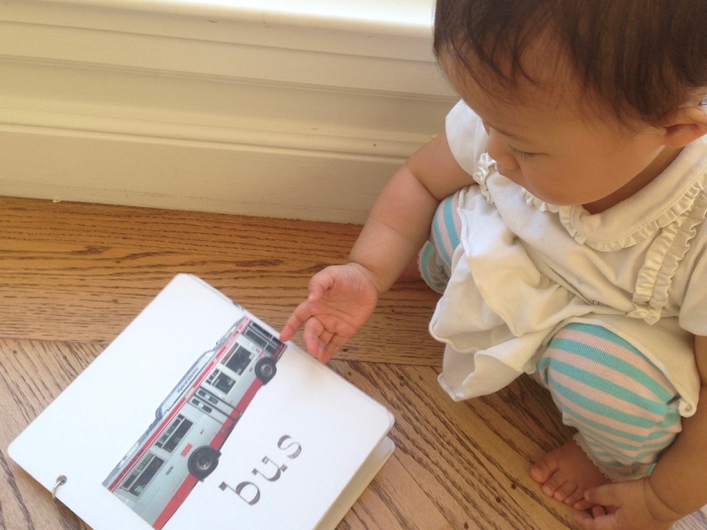 Toddler looks at her board book on a page that features the photo of a bus.