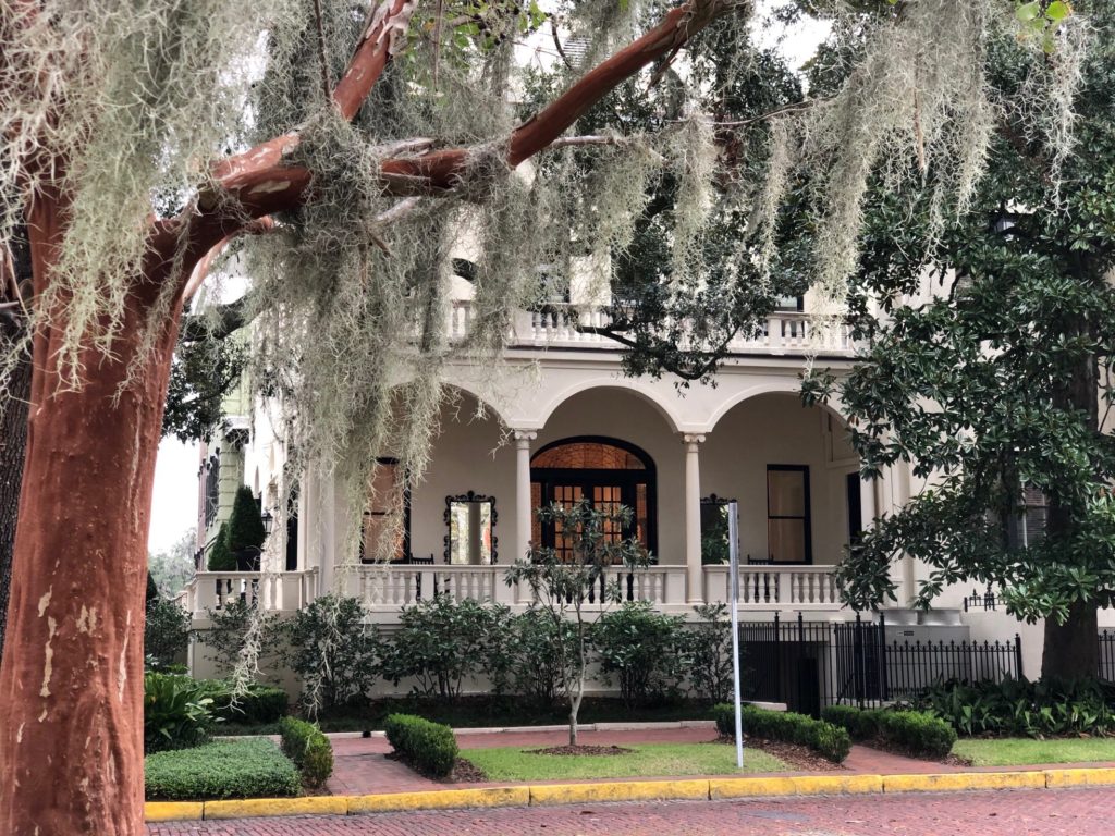 Savannah, GA, boasts beautiful public squares and parks, elegant homes, and trees dripping with Spanish moss.