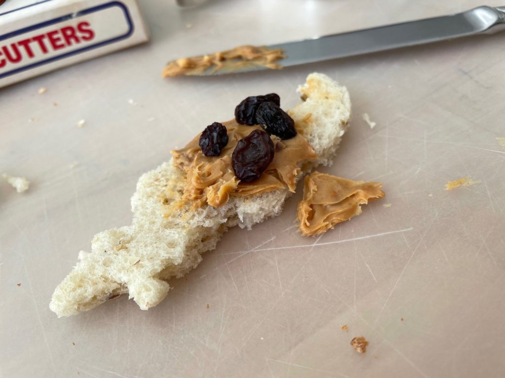 A four-year-old's idea of a DIY snack: bread cut into the shape of a dinosaur, spread with peanut butter, and topped with raisins.