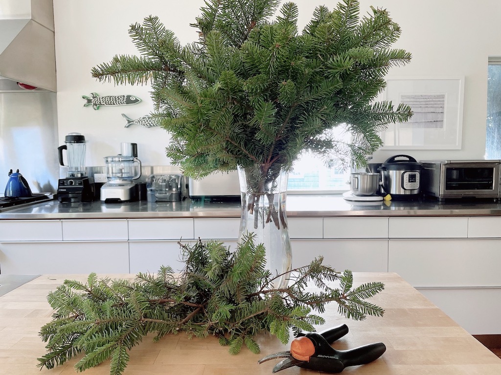 For inexpensive decorating for Christmas, ask for discarded branches at the Christmas tree lot, snip the stems, and keep in vase or bucket until ready to use.
