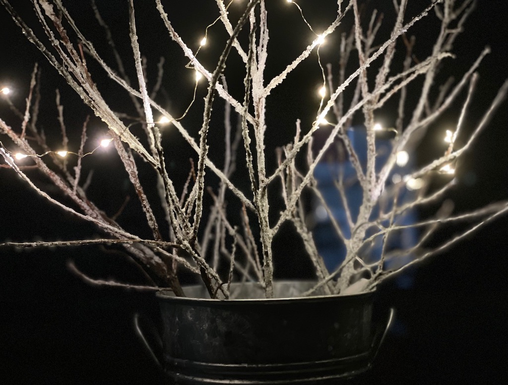 Snow-encrusted branches with micro lights.