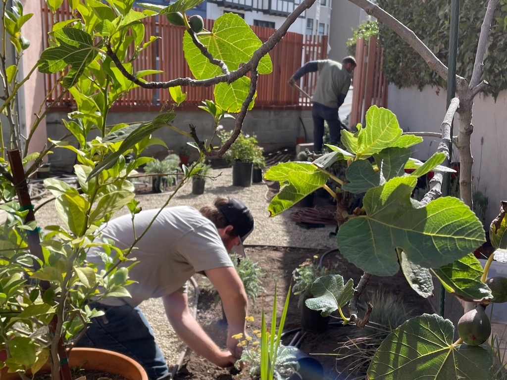 Gardeners planting the new garden.