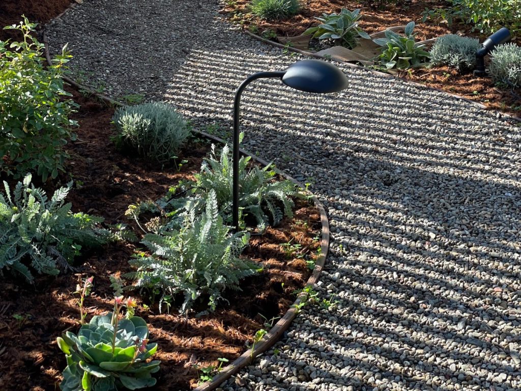 Morning sun streams in through the redwood fence, creating a striped pattern on the pea gravel.