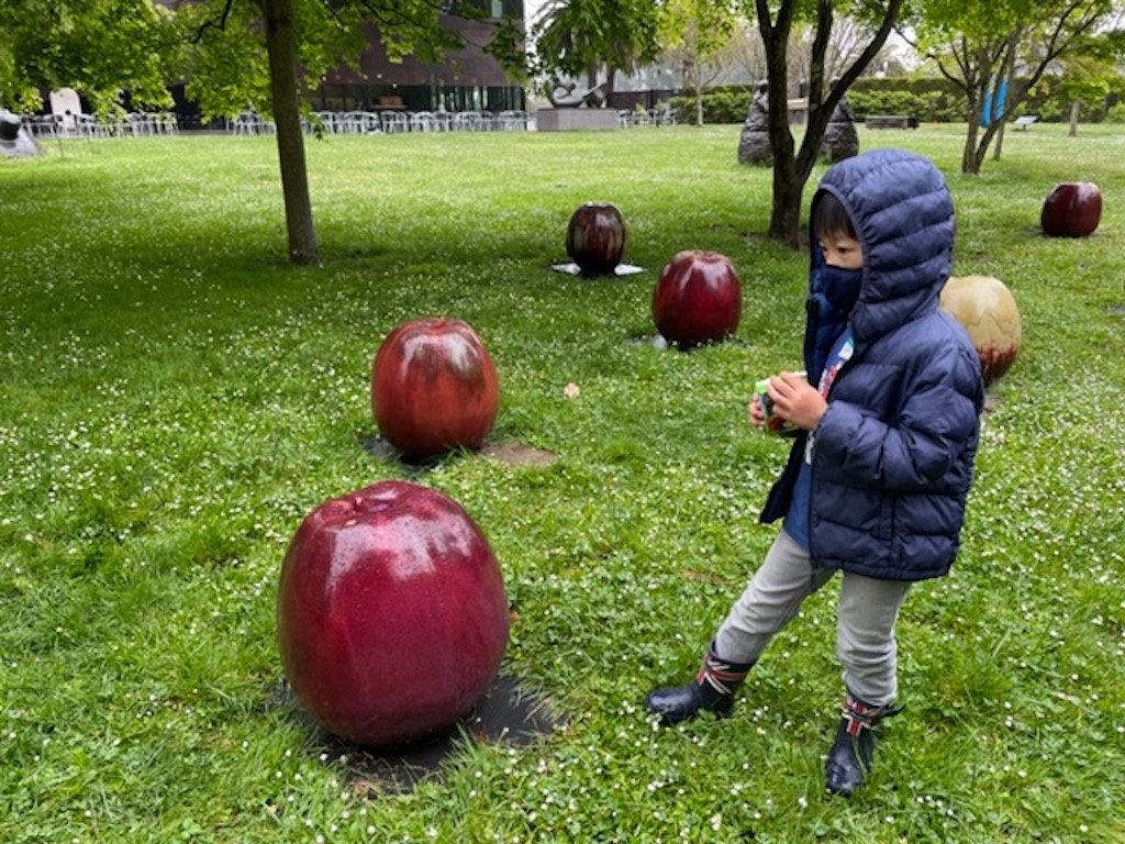 Apple sculptures by Gustav Kraitz and Ulla Kraitz. De Young Museum, San Francisco. It's great to take a break during an art museum trip.