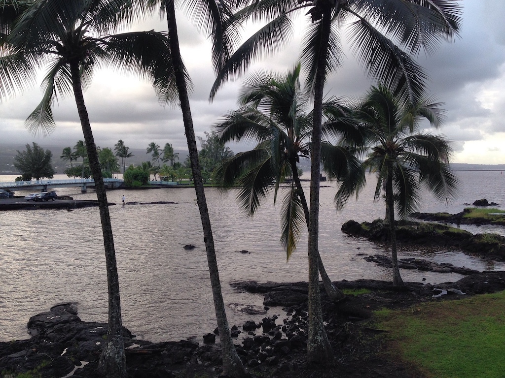 Hilo, Hawaii was inspiration of a luau party in a New York apartment years ago.