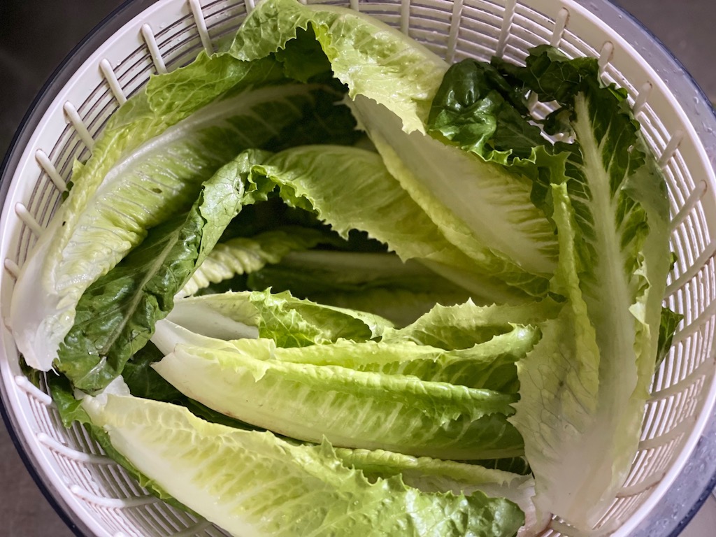 Instead of iceberg, substitute romaine, if you like. Lettuce should be crisp and hardy.