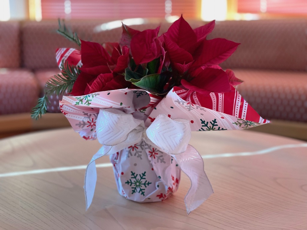 Fresh-cut poinsettias make a lovely, last-minute floral arrangement using a paper-wrapped mason jar.