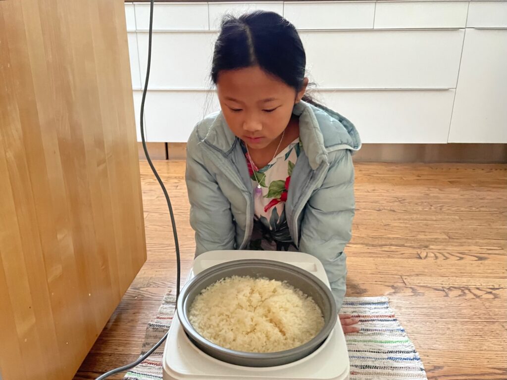 Mochi (rice cakes) are being made in an electric mochi maker which cooks the sweet rice, then pounds it into a smooth mass, ready for shaping into patties.