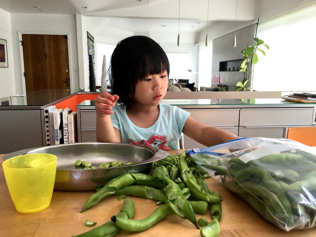 Child shells fava beans. Helping grandparents in the kitchen is a way to learn new skills, competency, and self-confidence.