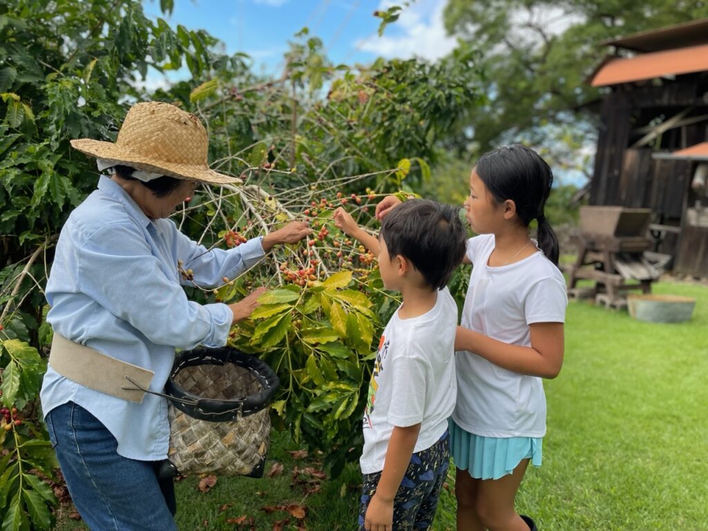 Kids learning to pick coffee.