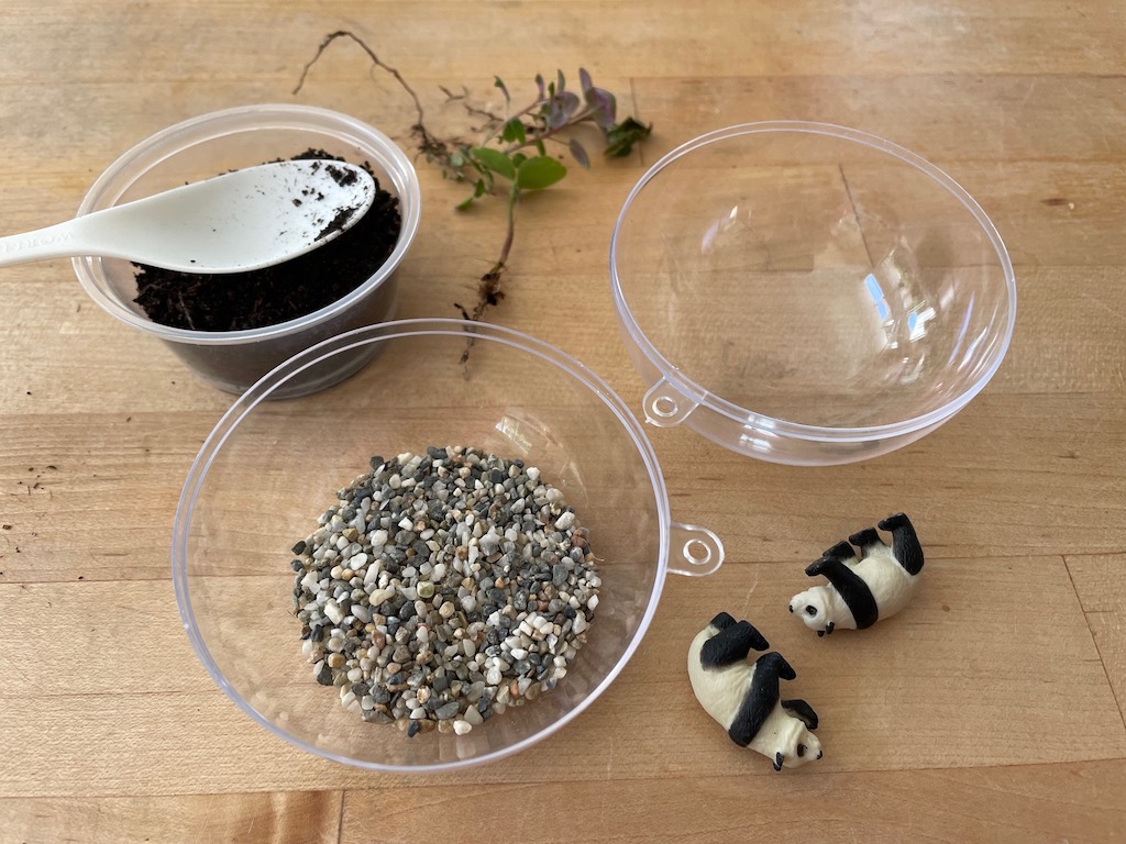 How to make a terrarium: start with a layer of gravel, followed by a layer of dirt.