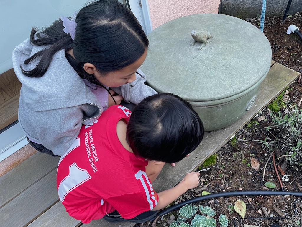 Kids dig moss out with a spoon to make tiny terrariums.