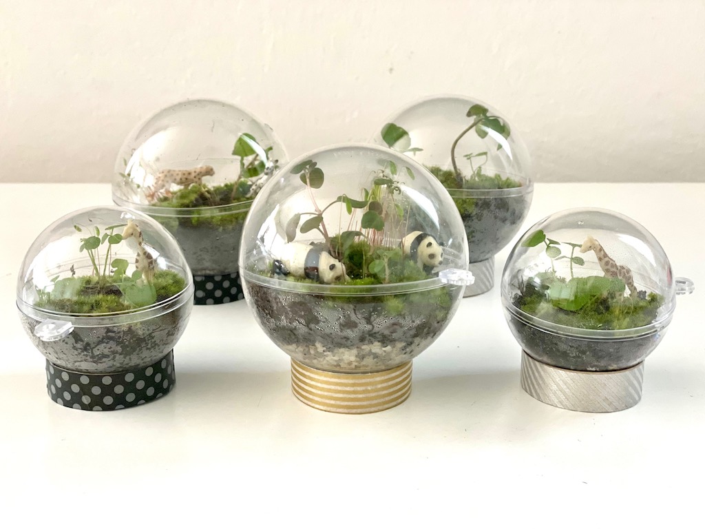 The terrariums, closed and on toilet roll stands covered in washi paper.