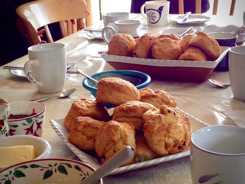 Piles of freshly-baked Irish scones, warm from the oven, greet guests at a dairy farmhouse in Ireland.