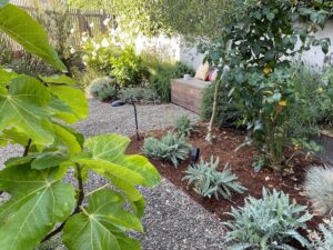 Morning coffee in the garden is a good way to start a blog break.
