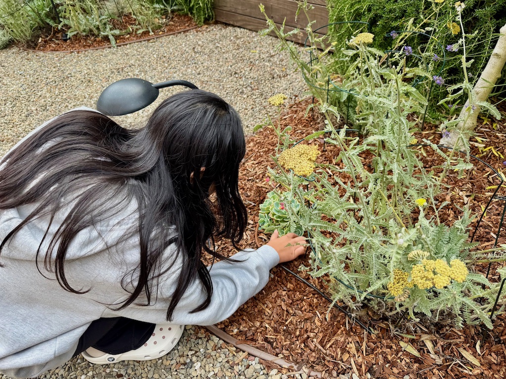 Child picks leaves from the garden for pressed flower jars.