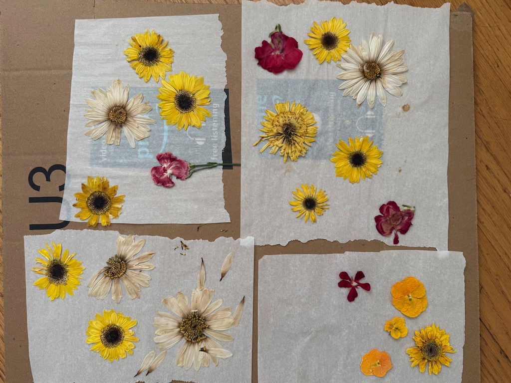Flowers dried the conventional way between sheets of paper and weighted with books.