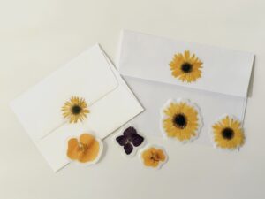 Make pressed flower stickers with clear tape and baking parchment paper.