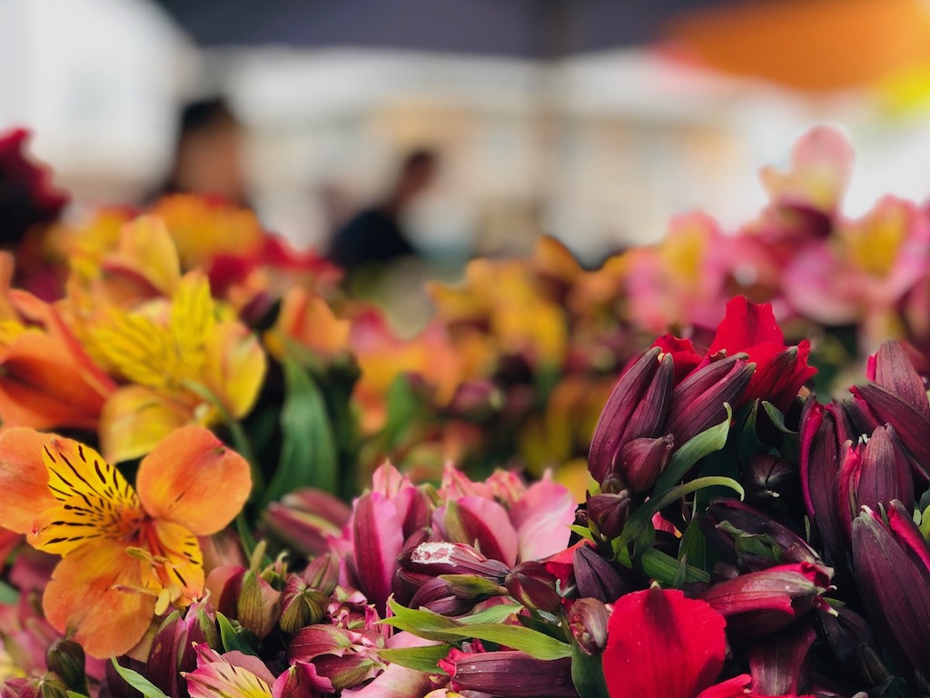 Alstroemeria at the farmers market is a good, inexpensive choice for a budget bouquet.