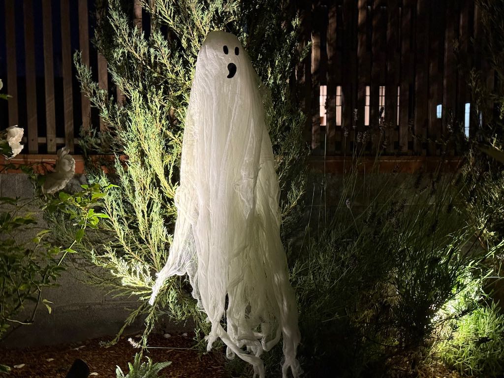 Cheesecloth ghost is seen in the yard at night.