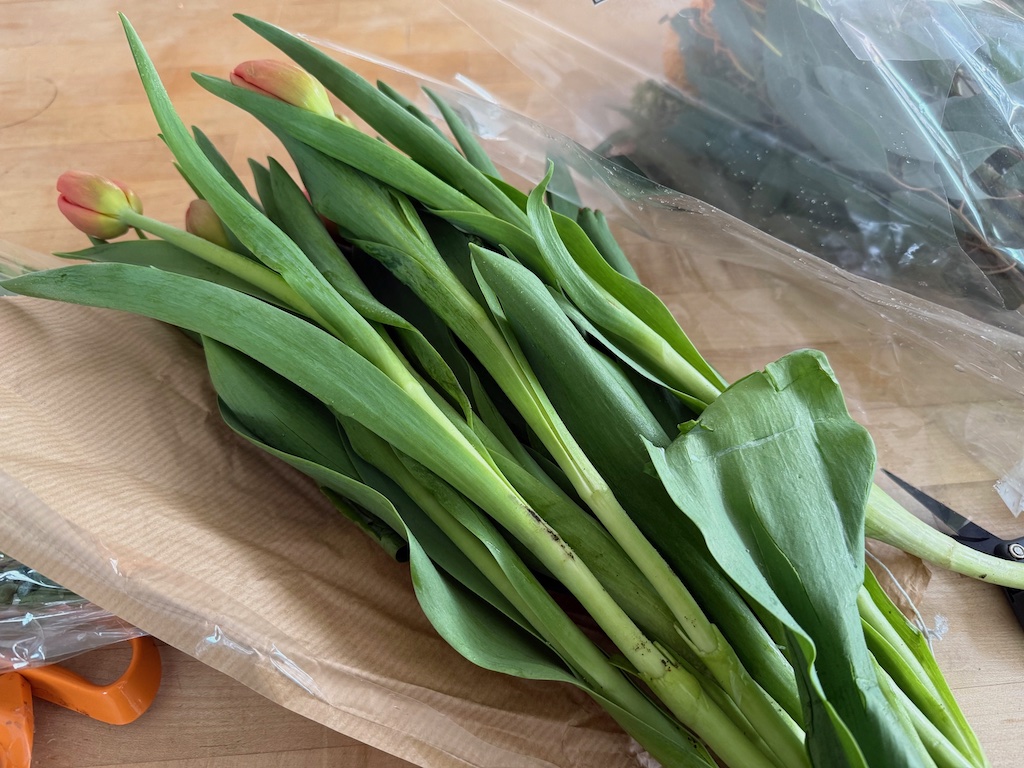 Tulips are ready to be stripped of leaves in preparation for making an arrangement.