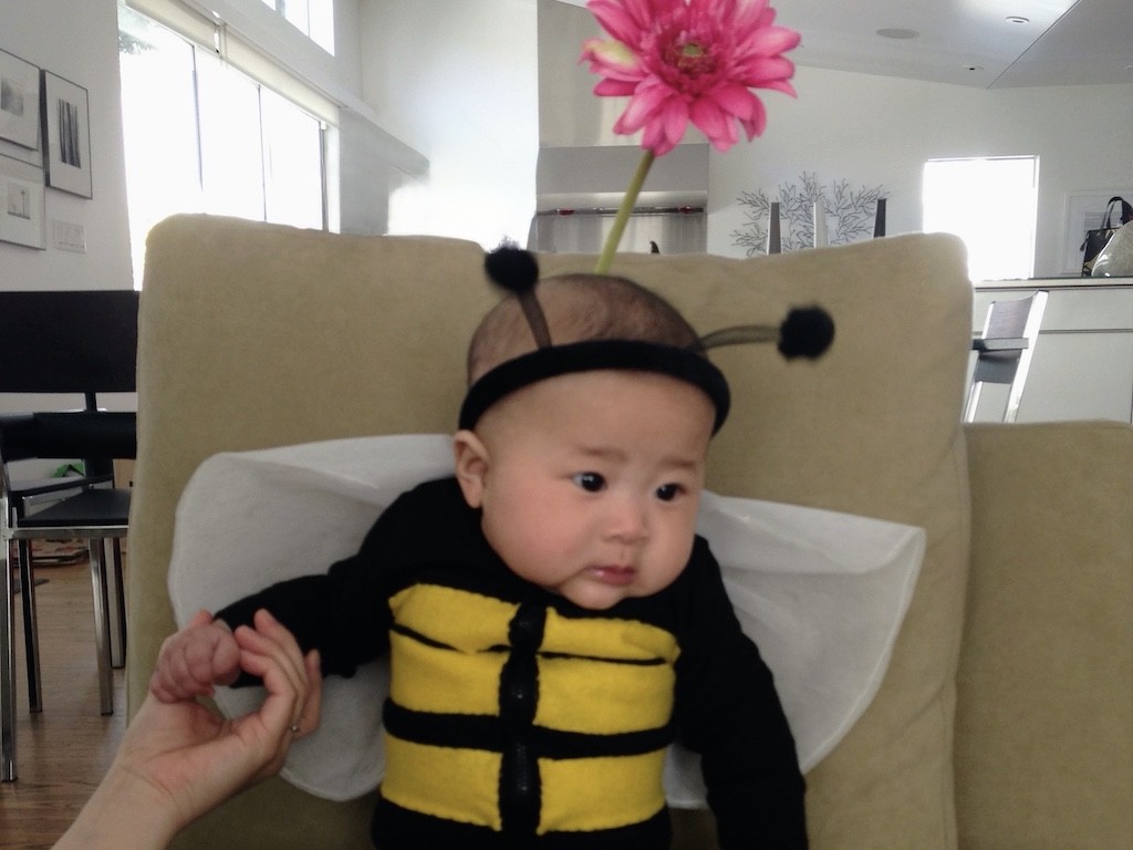 Infant in bee costume made from a black sleeper with fabric wings and yellow felt stripes on the chest.
