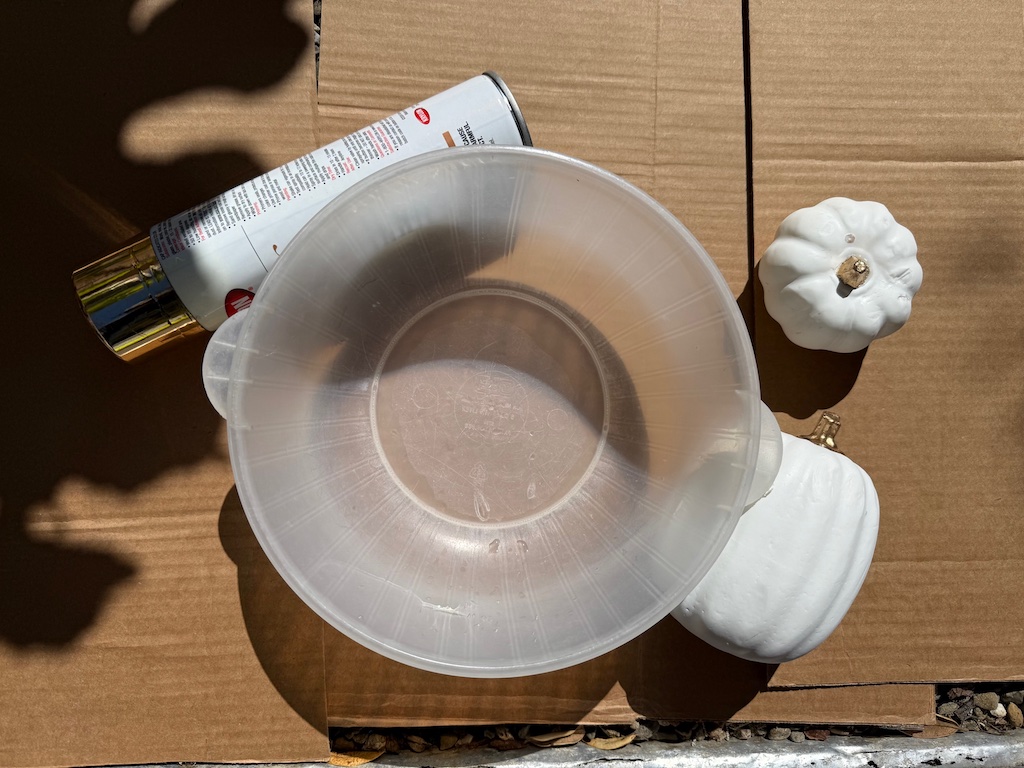 Materials needed to paint pumpkins: spray paint, bowl, water, and pumpkins.