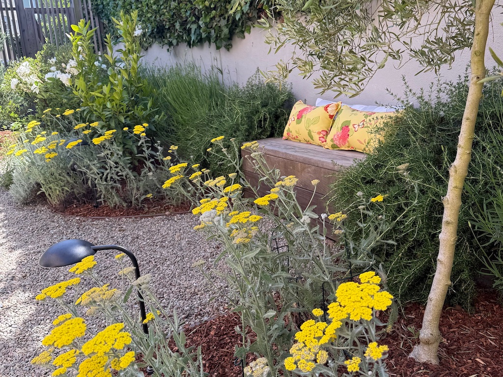 Adding a gravel path is a budget-friendly way to renovate your garden. Yarrow, lavender, climbing rosemary, and an olive tree add a Mediterranean touch. 