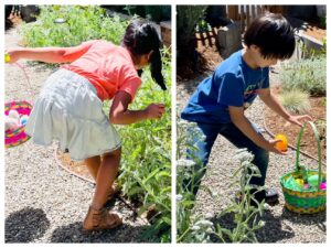 Children on an Easter egg hunt.