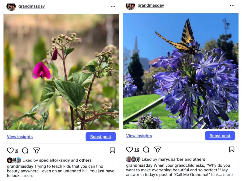 Two of my Instagram posts of flowers--we tend to see natural beauty when we're looking for it--especially as we search for compelling images for our Instagram feed.