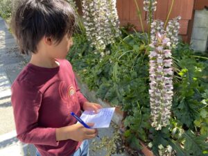 Child walks the neighborhood looking for items on a scavenger hunt list.