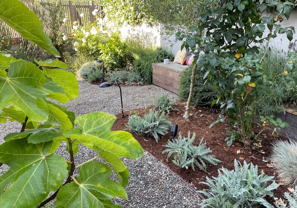 Morning coffee in the garden is a good way to start a blog break.