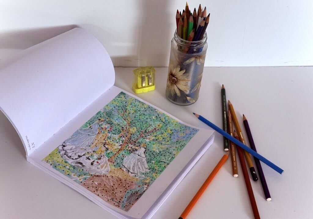 Mystery coloring book of Monet masterpieces. You don't know what the image is until you color in the spaces with color pencils.